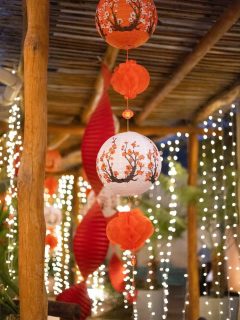 #RapacesEnAcción 👩🏻‍🍳🦅

Te compartimos un poco de lo que fue el último evento de la carrera de Gastronomía, donde nuestros rapaces de 8vo cuatrimestre modalidad Sabatina demostraron sus conocimientos adquiridos durante su formación académica ✨🍽️ en este gran evento.

📍Universidad Vizcaya Puerto Vallarta

#cocinaasiática #gastronomíaUVA