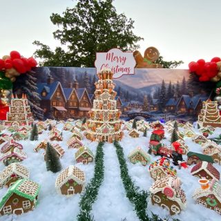 🎄✨ Una tarde mágica en el Festival del Café.
Nuestros estudiantes de Gastronomía Hermosillo crearon una hermosa Villa Navideña con casitas de jengibre hechas con todo su talento y dedicación. 🏠🎅🏼

¡Gracias a todos los que nos acompañaron! #gastronomíaUVA #RapacesEnAcción