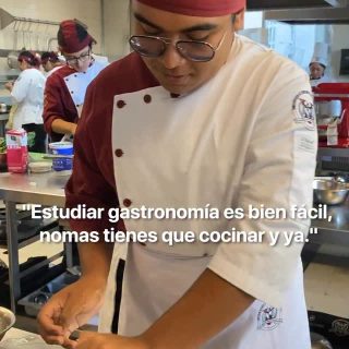 Los rapaces de Gastronomía no aprueban 👎
#trend #gastronomíauva