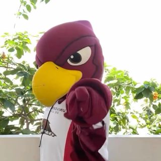 Nosotros te queremos 👀 🌊⚓️ 

Y tú ¿ya eres #gentevizcaya 🦅?

#inthenavy #trend #universidadvizcaya