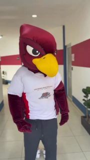 🏆 ¡Campeonas de Campeonas! Las UVAGIRLS arrasaron en el Tijuana Challenge 2025 🔥

#tijuanachallenge2025 #trend #orgullovizcaya