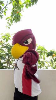 Nosotros te queremos 👀 🌊⚓️ 

Y tú ¿ya eres #gentevizcaya 🦅?

#inthenavy #trend #universidadvizcaya