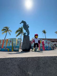 ¡Adivinaron bien! 😎☀️ tocó sol, playita y diversión en 📍Puerto Vallarta 🌊

Recomiéndenme lugares para visitar en Puerto Vallarta👀

#SS2026 #PuertoVallarta #UvaldoViajero