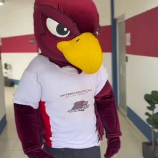 🏆 ¡Campeonas de Campeonas! Las UVAGIRLS arrasaron en el Tijuana Challenge 2025 🔥

#tijuanachallenge2025 #trend #orgullovizcaya