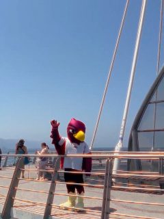 Y como última parada 🌊 les dejo esta postal en el Muelle de los Muertos 😎☀️ 

#SS2026 #muelledelosmuertos #PV #UvaldoViajero