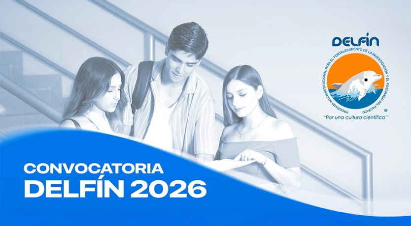 verano delfín 2026